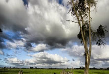 乐鱼在线娱乐-世纪烽烟再起！皇马尤文德国战场引爆全球，战术暗战与豪门恩怨全解析