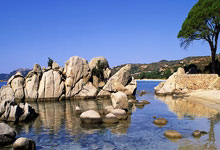 乐鱼体育在线娱乐-曼联赛前体能检测通过，争冠筹备顺利